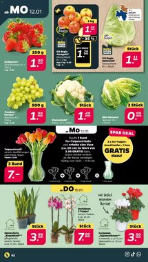 NETTO Prospekt (ab 12.01.2026) zum Blättern - Seite 2