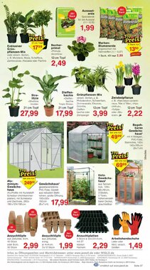 Jawoll Prospekt (ab 12.01.2026) zum Blättern - Seite 7