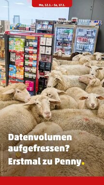 PENNY Prospekt (ab 12.01.2026) zum Blättern - Seite 24