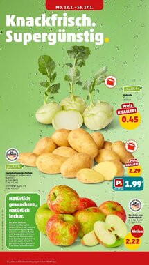 PENNY Prospekt (ab 12.01.2026) zum Blättern - Seite 4