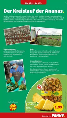 PENNY Prospekt (ab 12.01.2026) zum Blättern - Seite 9