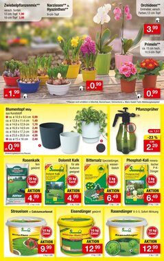 Zimmermann Prospekt (ab 12.01.2026) zum Blättern - Seite 7