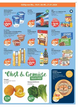 V Markt Prospekt (ab 15.01.2026) zum Blättern - Seite 19