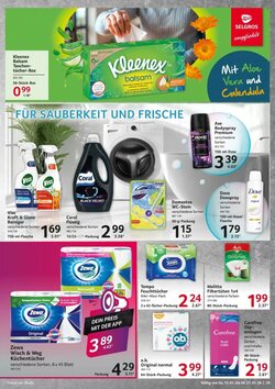 Selgros Prospekt (ab 15.01.2026) zum Blättern - Seite 19