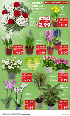 Kaufland Prospekt (ab 15.01.2026) zum Blättern - Seite 5