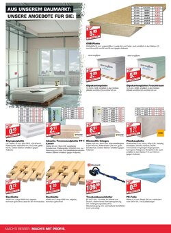 bauSpezi Prospekt (ab 17.01.2026) zum Blättern - Seite 10