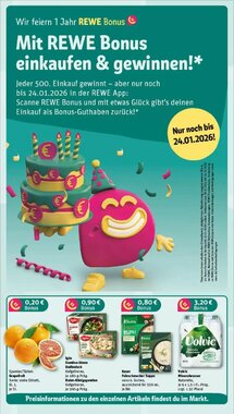 REWE Prospekt (ab 18.01.2026) zum Blättern - Seite 3