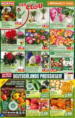 Norma Prospekt (ab 19.01.2026) zum Blättern - Seite 14