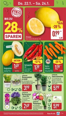 Aldi Nord Prospekt (ab 19.01.2026) zum Blättern - Seite 25