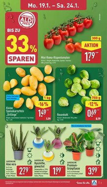 Aldi Nord Prospekt (ab 19.01.2026) zum Blättern - Seite 3