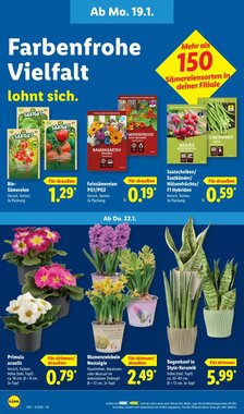 Lidl Prospekt (ab 19.01.2026) zum Blättern - Seite 60
