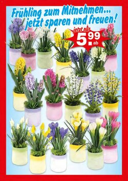 Krümet Sonderposten Prospekt (ab 19.01.2026) zum Blättern - Seite 2