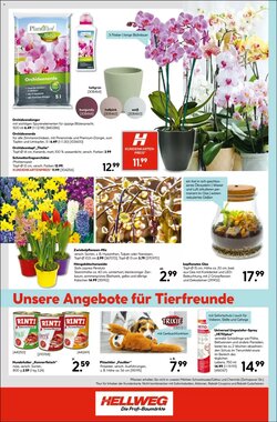 Hellweg Prospekt (ab 19.01.2026) zum Blättern - Seite 16