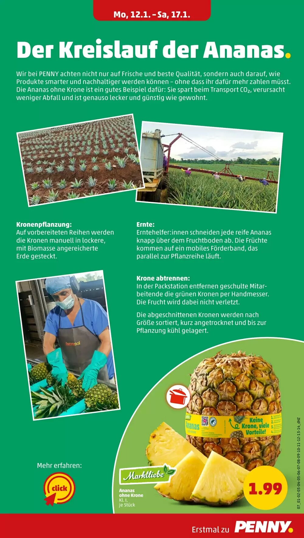 PENNY Prospekt (ab 19.01.2026) zum Blättern - Seite 11