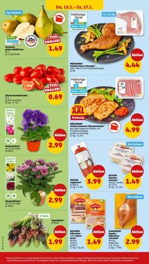 PENNY Prospekt (ab 19.01.2026) zum Blättern - Seite 34