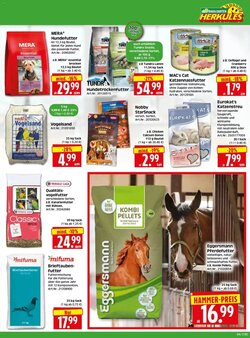 Edeka Herkules Prospekt (ab 19.01.2026) zum Blättern - Seite 3