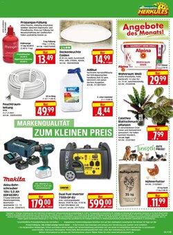 Edeka Herkules Prospekt (ab 19.01.2026) zum Blättern - Seite 8