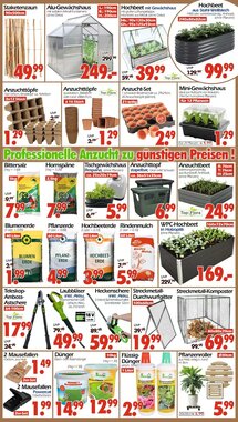 Wreesmann Prospekt (ab 19.01.2026) zum Blättern - Seite 2