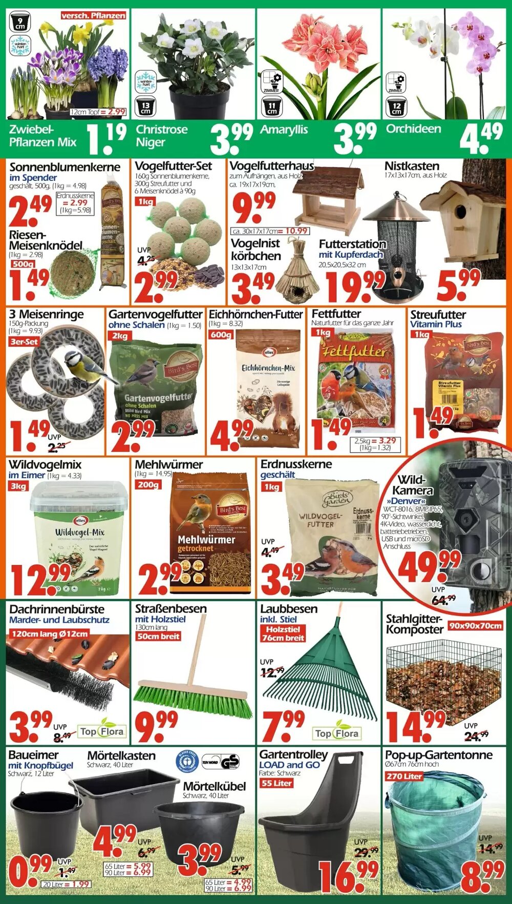 Wreesmann Prospekt (ab 19.01.2026) zum Blättern - Seite 3