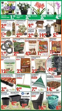 Wreesmann Prospekt (ab 19.01.2026) zum Blättern - Seite 3