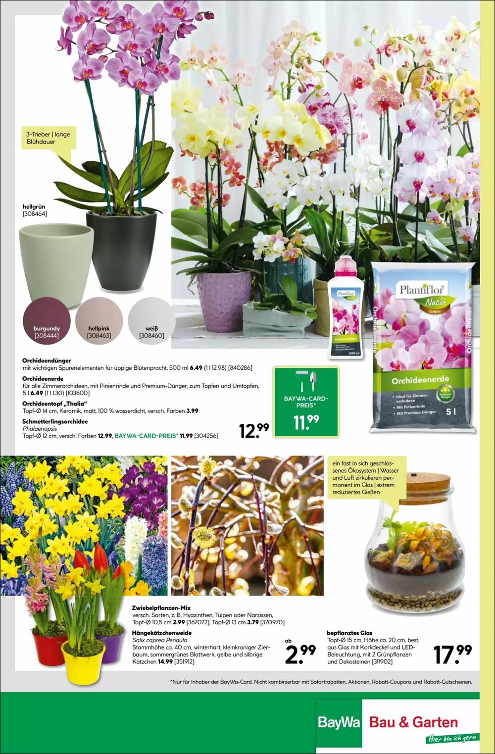 BayWa Prospekt (ab 19.01.2026) zum Blättern - Seite 16