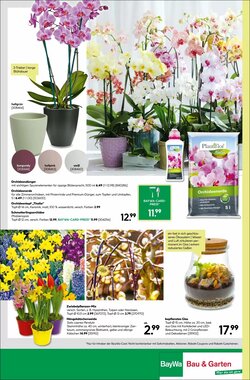 BayWa Prospekt (ab 19.01.2026) zum Blättern - Seite 16