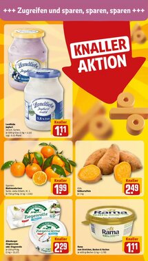 REWE Kaufpark Prospekt (ab 19.01.2026) zum Blättern - Seite 16