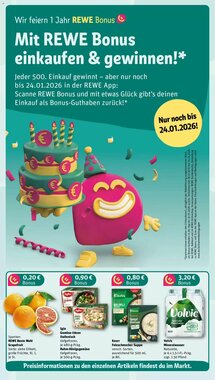 REWE Kaufpark Prospekt (ab 19.01.2026) zum Blättern - Seite 3