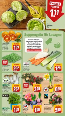 REWE Kaufpark Prospekt (ab 19.01.2026) zum Blättern - Seite 5