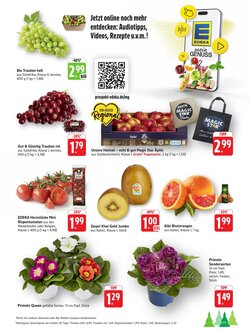 Schmidt's Märkte Prospekt (ab 19.01.2026) zum Blättern - Seite 9