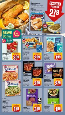 REWE PETZ Prospekt (ab 19.01.2026) zum Blättern - Seite 14