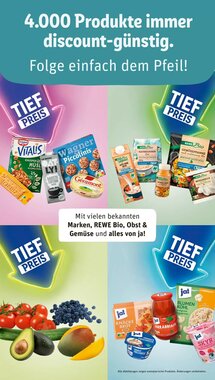 REWE PETZ Prospekt (ab 19.01.2026) zum Blättern - Seite 19