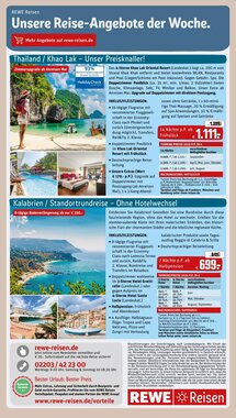 REWE PETZ Prospekt (ab 19.01.2026) zum Blättern - Seite 31