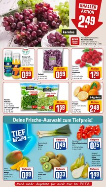 REWE PETZ Prospekt (ab 19.01.2026) zum Blättern - Seite 8