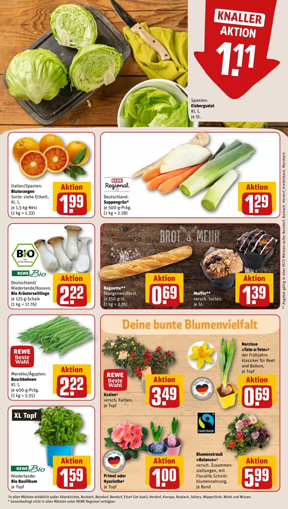 REWE PETZ Prospekt (ab 19.01.2026) zum Blättern - Seite 9