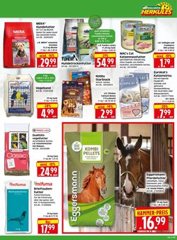 Herkules Baumarkt Prospekt (ab 19.01.2026) zum Blättern - Seite 3