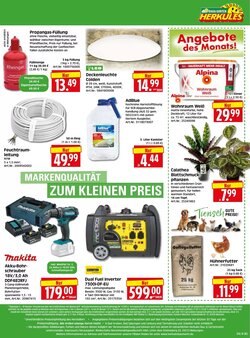 Herkules Baumarkt Prospekt (ab 19.01.2026) zum Blättern - Seite 8