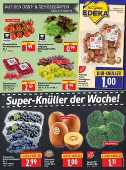 Edeka Herkules Prospekt (ab 19.01.2026) zum Blättern - Seite 5