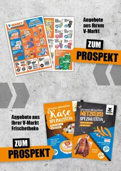 V Baumarkt Prospekt (ab 22.01.2026) zum Blättern - Seite 5