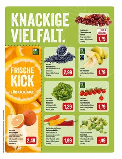 Feneberg Prospekt (ab 22.01.2026) zum Blättern - Seite 5