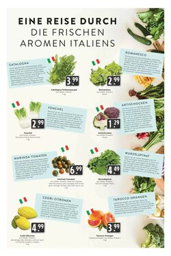 Hieber's Frische Center Prospekt (ab 25.01.2026) zum Blättern - Seite 10