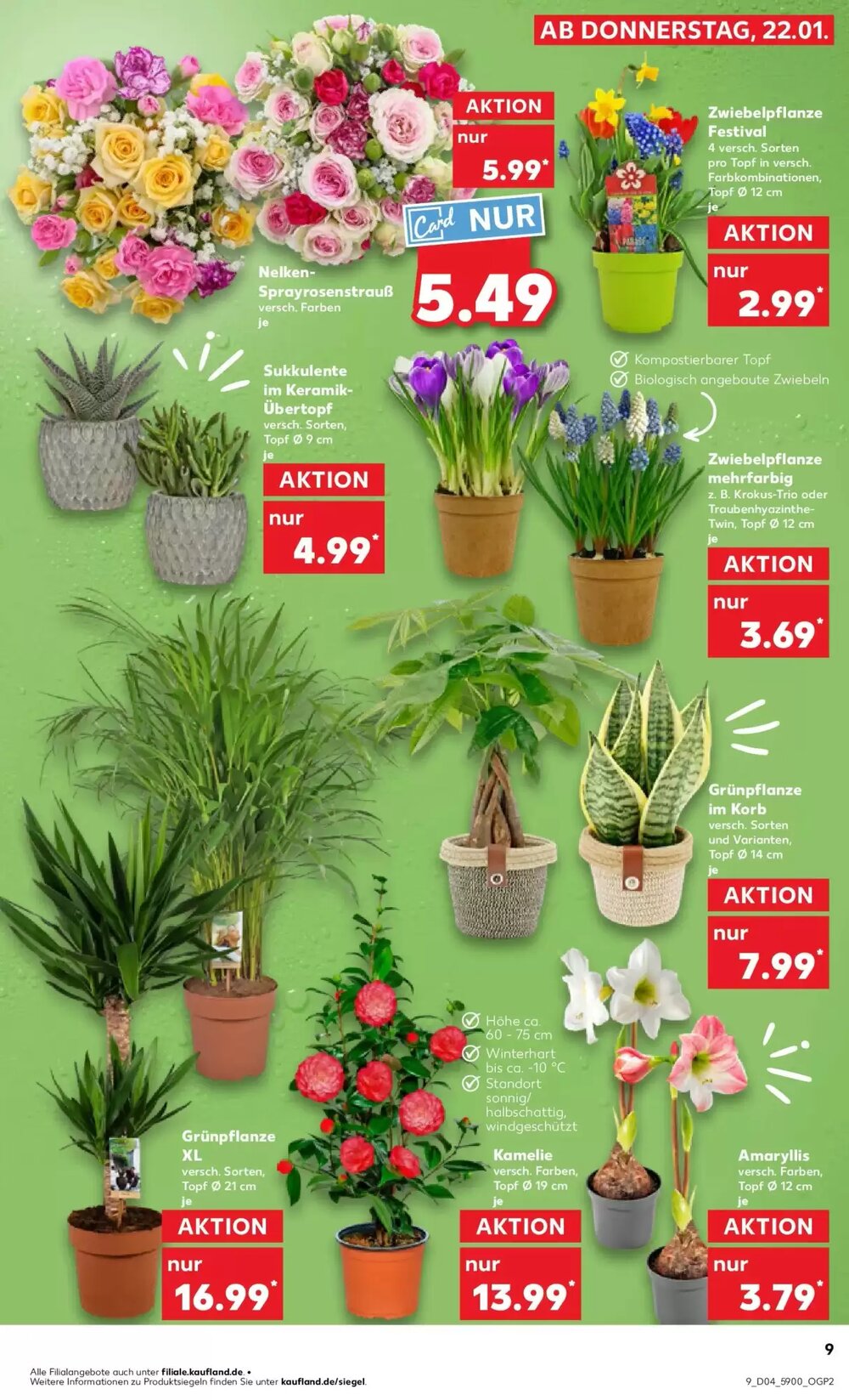 Kaufland Prospekt (ab 25.01.2026) zum Blättern - Seite 9