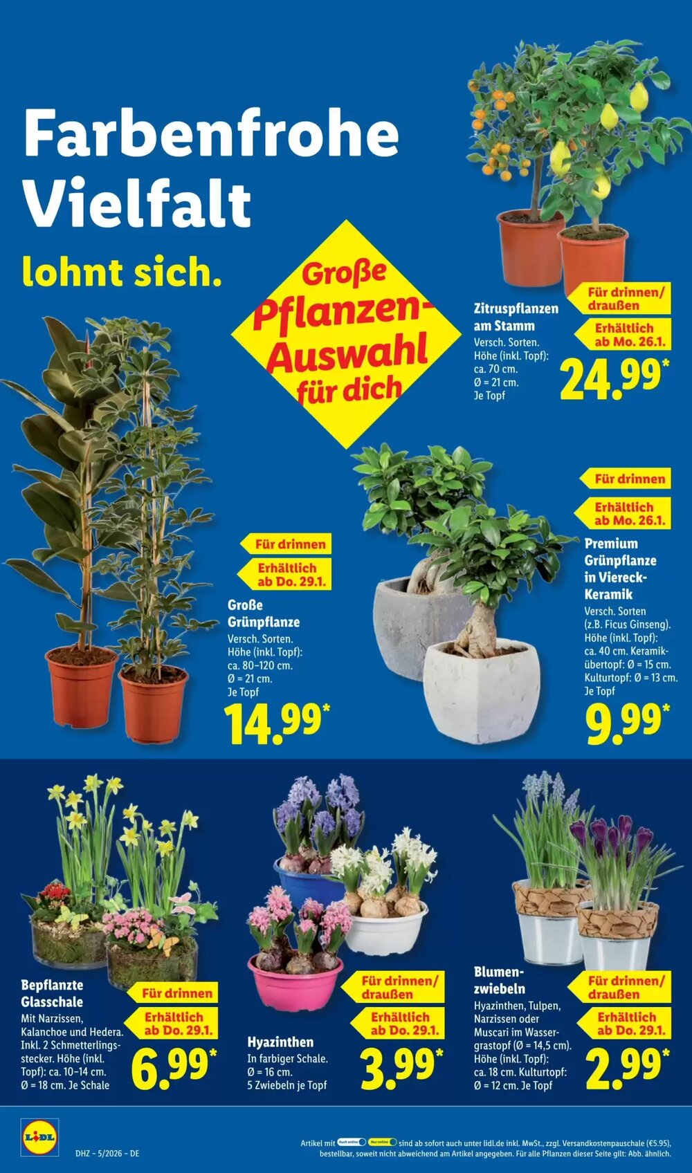 Lidl Prospekt (ab 26.01.2026) zum Blättern - Seite 64