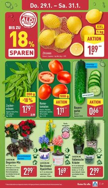 Aldi Nord Prospekt (ab 26.01.2026) zum Blättern - Seite 29