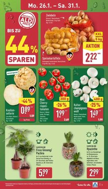 Aldi Nord Prospekt (ab 26.01.2026) zum Blättern - Seite 3