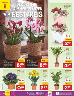 Netto Marken-Discount Prospekt (ab 26.01.2026) zum Blättern - Seite 24