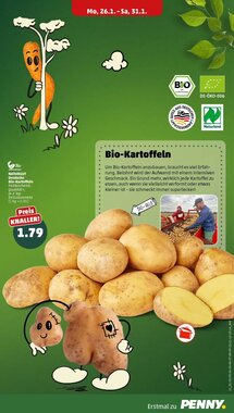 PENNY Prospekt (ab 26.01.2026) zum Blättern - Seite 13