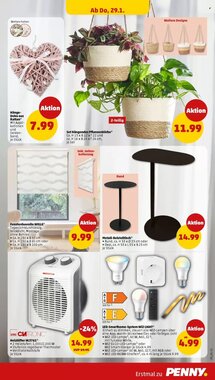 PENNY Prospekt (ab 26.01.2026) zum Blättern - Seite 27