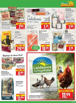 Edeka Herkules Prospekt (ab 26.01.2026) zum Blättern - Seite 7