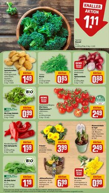 REWE Kaufpark Prospekt (ab 26.01.2026) zum Blättern - Seite 5